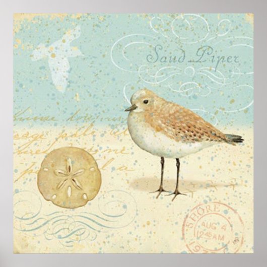 Frans Sand Piper Poster (Voorkant)