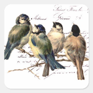  Frans schrijven en vogels Vierkante Sticker