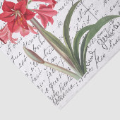 Frans Script Amaryllis Bird Briefkaart Tissuepapier (Detail)