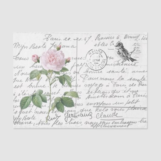 Frans Script  Blush Roos Bird Briefkaart Tissuepapier (Voorkant)