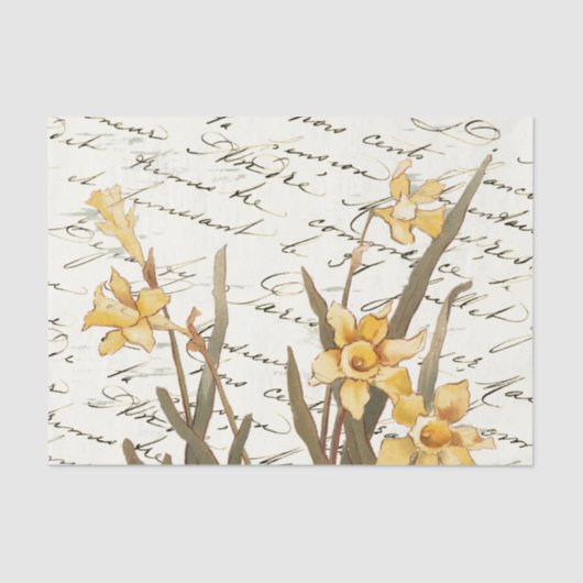 Frans Script  Geel Daffodilpapier Tissuepapier (Voorkant)