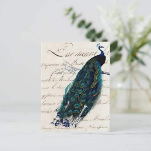 Frans Script Peacock Briefkaart (Staand voorkant)
