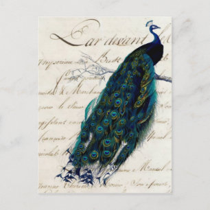  Frans Script Peacock Briefkaart