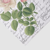 Frans Script  Pink Tea Roos Bird Briefkaart Tissuepapier (Detail)