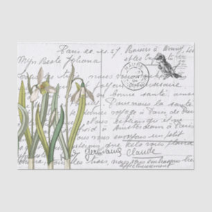 Frans Script  Snowdrop Bird Briefkaart Tissuepapier