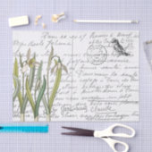 Frans Script  Snowdrop Bird Briefkaart Tissuepapier (Craft)