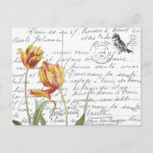 Frans Script  Tulip Bird Briefkaart (Voorkant)