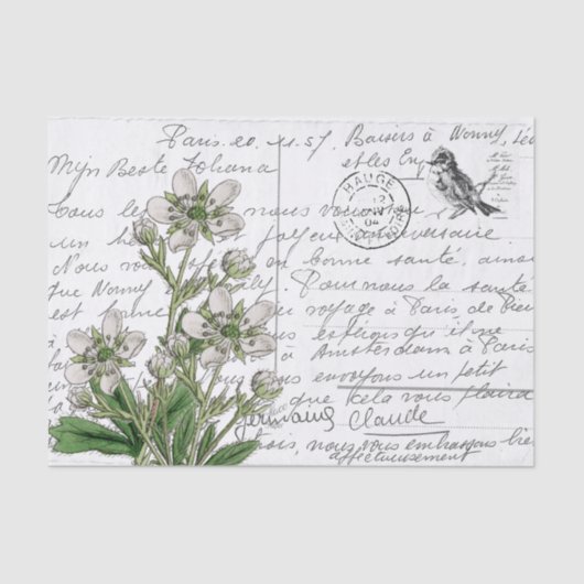 Frans Script  White Flower Bird Briefkaart Tissuepapier (Voorkant)