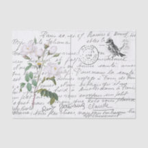 Frans Script White Rose Bird  Briefkaart