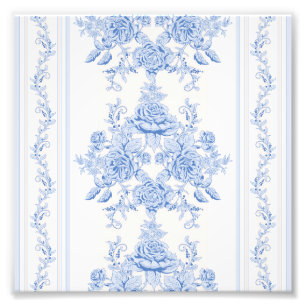 Frans, shabbykic, , bleek blauw, wit, land foto afdruk