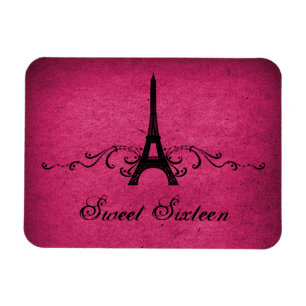  Frans Vlaams zoet 16 Magnet, roze Magneet