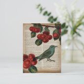 frans vogelretro botanische rode kersen briefkaart (Staand voorkant)