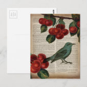frans vogelretro botanische rode kersen briefkaart (Voorkant / Achterkant)