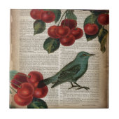 frans vogelretro botanische rode kersen tegeltje (Voorkant)