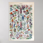 Franse Adolphe Millot Flowers Poster (Voorkant)