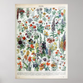 Franse Adolphe Millot Flowers Poster (Voorkant)