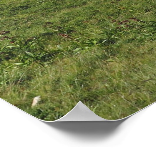 Franse Alpen Poster (Hoek)