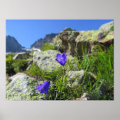 Franse Alpen Poster (Voorkant)