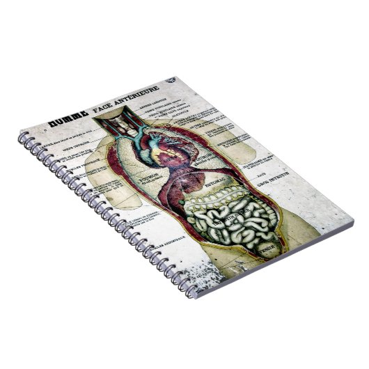 Franse anatomie notebook Notitieboek (Rechterzijde)