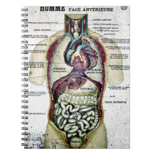 Franse anatomie notebook Notitieboek