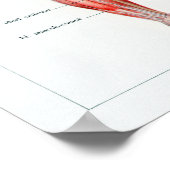 Franse anatomiegrafiek Poster (Hoek)