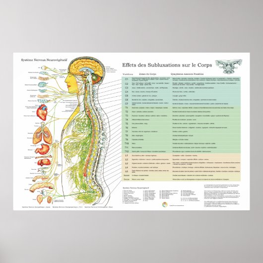 Franse ANS Subluxations Effects Chiropraktijk Char Poster (Voorkant)