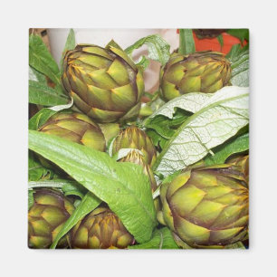 Franse Artichokes - Magneten