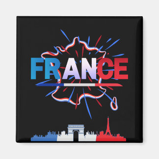 Franse bastille day magneet