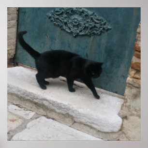 Franse Black Cat Nice France Print Posters