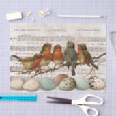 Franse  blad Music Birds Eggs Decoupage Tissuepapier (Craft)