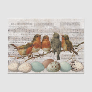 Franse  blad Music Birds Eggs Decoupage Tissuepapier