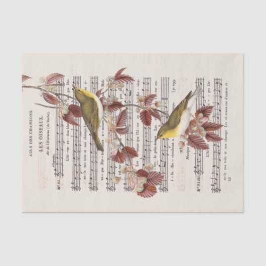 Franse  blad Music Wren Birds Decoupage Tissuepapier (Voorkant)