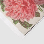 Franse Bloemen Ephemera Decoupage Twee Roze Pioene Tissuepapier (Detail)