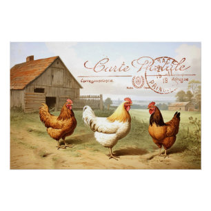 Franse boerderij kip schuur hen vogel poststempel perfect poster