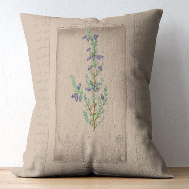 Franse botanische illustratie Bell Heather Accent Kussen (Creator heeft geüpload)