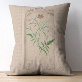 Franse botanische illustratie Hartwort Accent Kussen