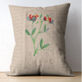Franse botanische illustratie Sweet Pea Accent Kussen