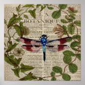 franse botanische overblijfselen moderne libellen poster (Voorkant)