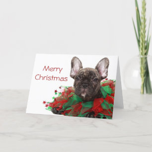 Franse buldog die de kraag van Kerstmis dragen Feestdagen Kaart