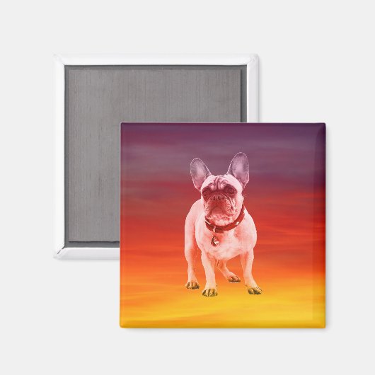 Franse buldog hond zitten op het strand magneet (Voorkant / Achterkant)