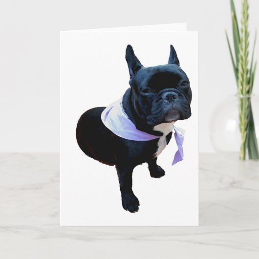 Franse buldog kaart (Voorkant)