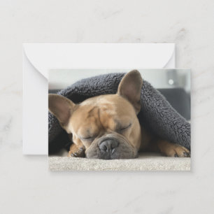 Franse buldog onder deken notitiekaartje