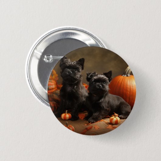 Franse buldog puppy herfst verrukking pompoen ronde button 5,7 cm (Voorkant /achterkant)