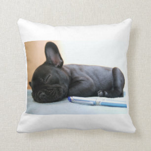 franse buldog puppy.png kussen