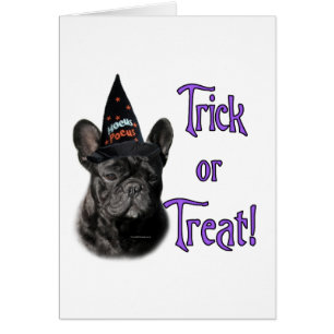 Franse buldog truc