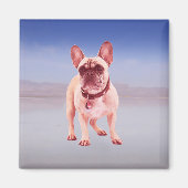 Franse buldog zitten op het strand magneet (Voorkant)