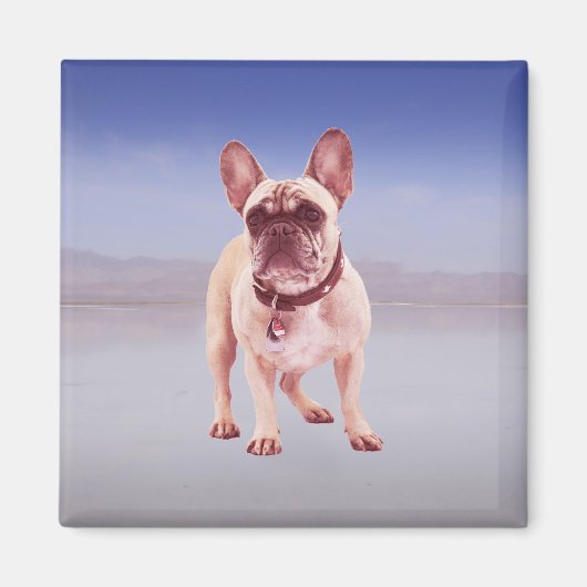 Franse buldog zitten op het strand magneet (Voorkant)