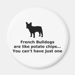 Franse Bull Dogs is net als aardappelchips Magneet