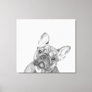 Franse Bulldog 12-inch x 12-inch wikkeldoekafdruk Canvas Afdruk