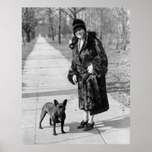 Franse Bulldog, 1920 Poster